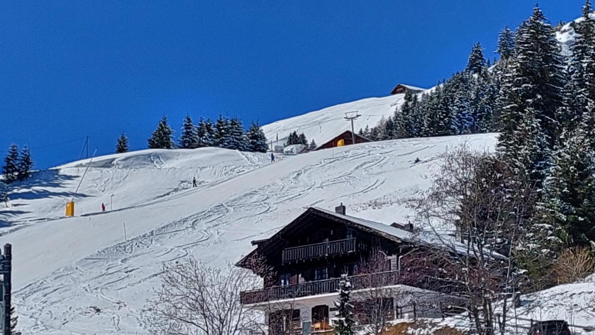 Alpage Immo Location Service Champoussin Kültér fotó