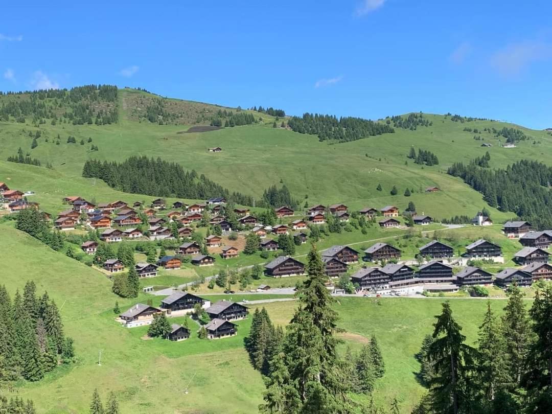 Alpage Immo Location Service Champoussin Kültér fotó